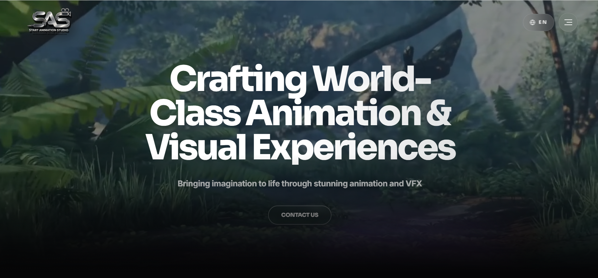 Start Animation Studio Website preview